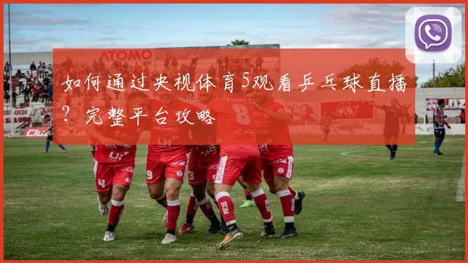 如何通过央视体育5观看乒乓球直播？完整平台攻略