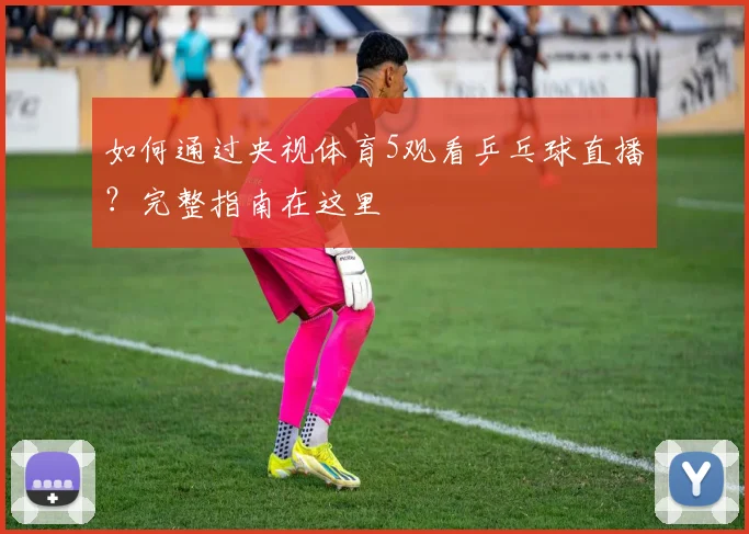 如何通过央视体育5观看乒乓球直播?完整指南在这里