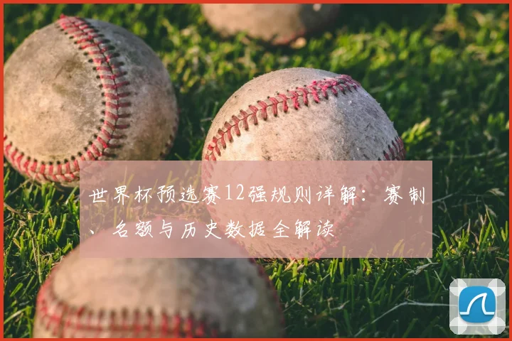 世界杯预选赛12强规则详解:赛制、名额与历史数据全解读