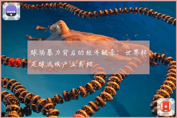 球场暴力背后的经济链条：世界杯足球流氓产业真相