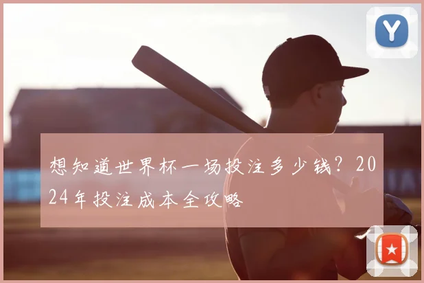 想知道世界杯一场投注多少钱?2024年投注成本全攻略