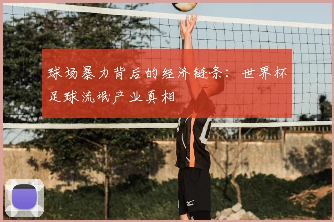 球场暴力背后的经济链条：世界杯足球流氓产业真相